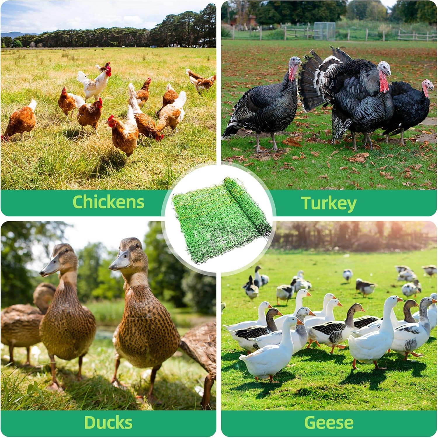 Updated Poultry Netting Electric Fence for Chickens, Ducks, Geese,41.5″H x 164’L