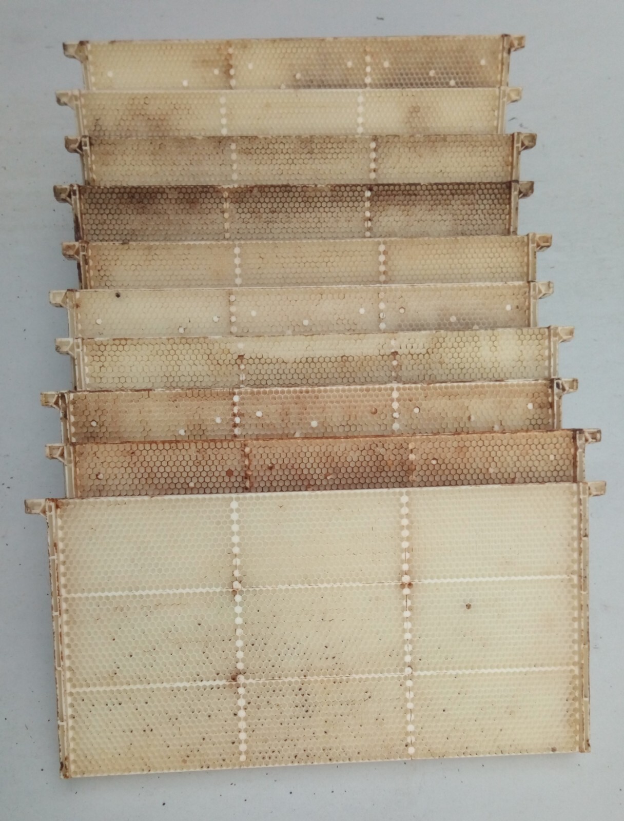 Plastic Fully Drawn Bee Hive Frames, White, 10 Frames, Standard Deep Size(9 1/8)
