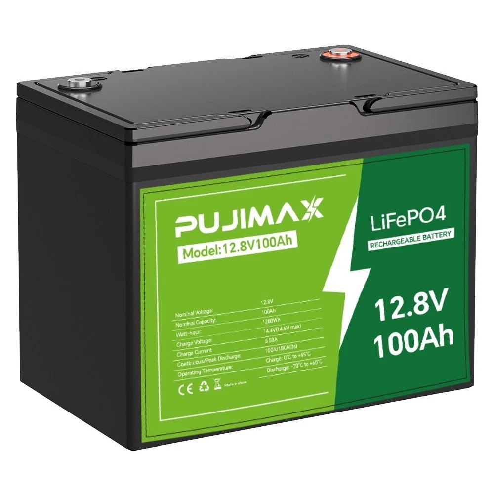 12V 100Ah LiFePO4 Lithium Battery 8000+ Deep Cycle BMS for Solar RV Off-grid