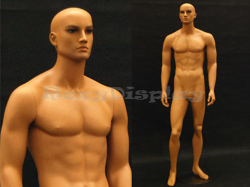 Tan skin young male mannequin Dress Form Display #MD-HAM25