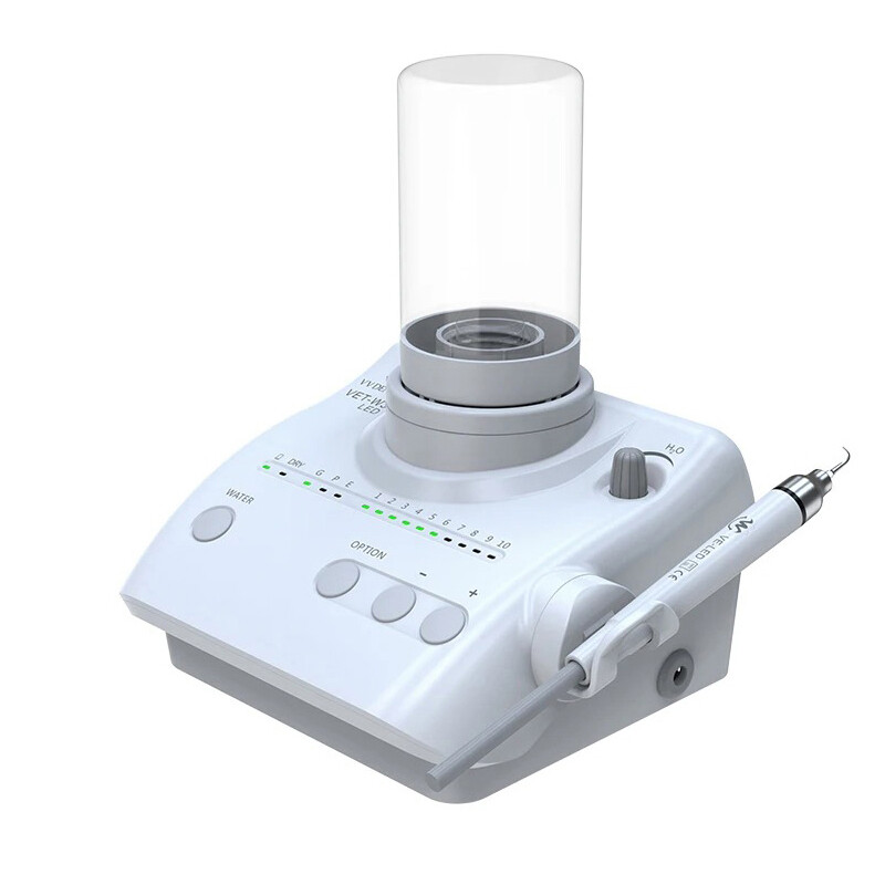 Dental Ultrasonic Scaler Scaling Perio Endo Endodontics LED Handpiece Auto Water