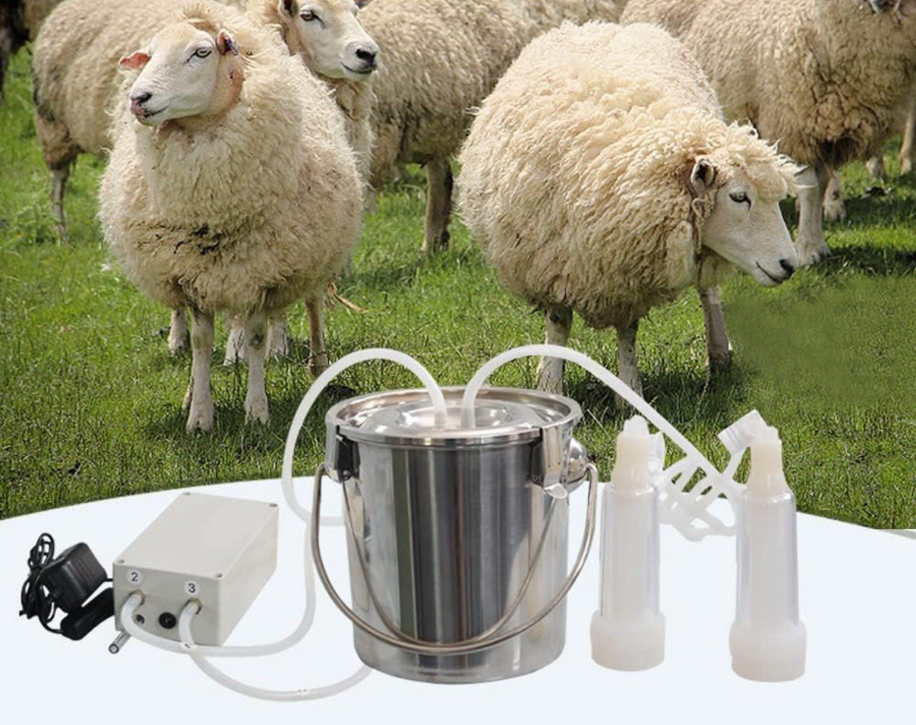 Electric Cow Goat Milking Machine 3L Stainless Steel S13 Used Missing Pieces
