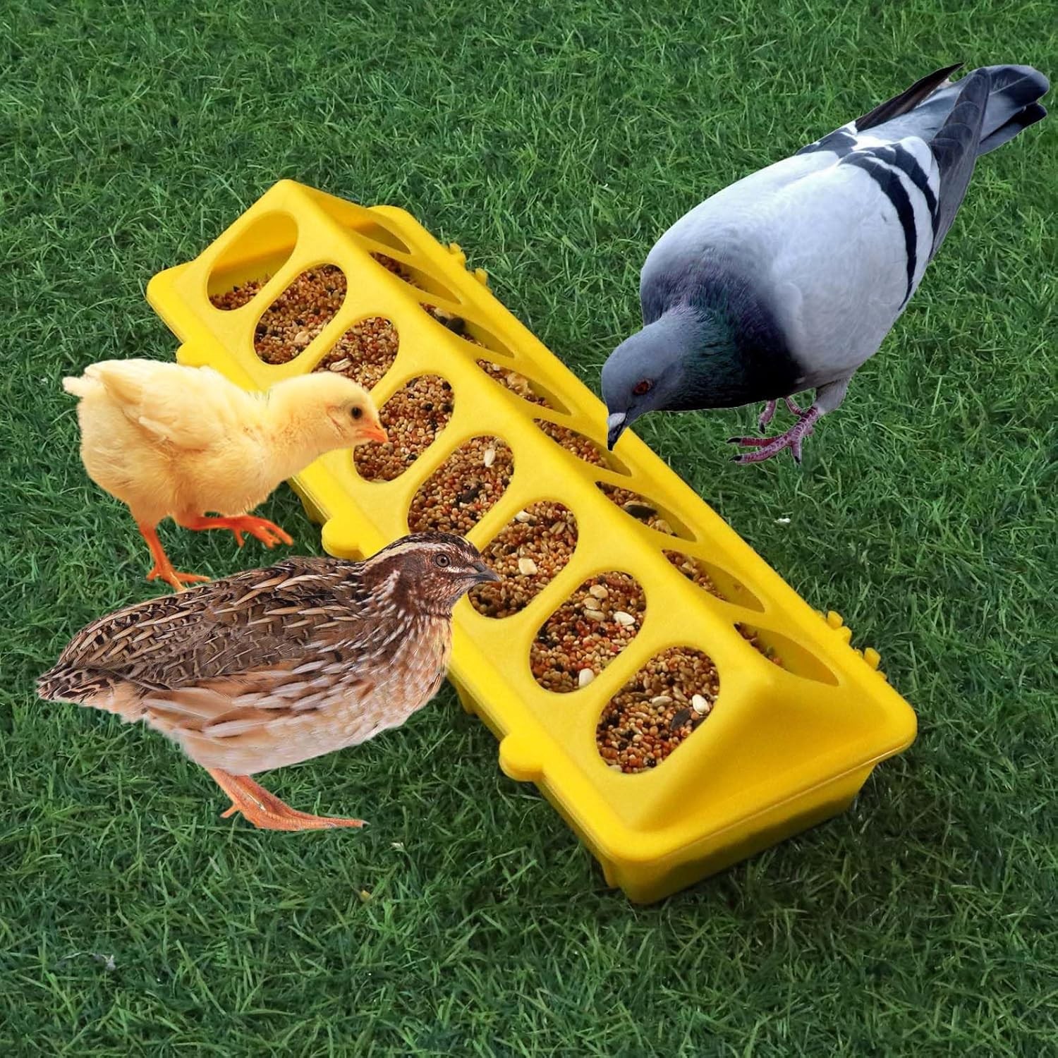 Flip Top Chick Feeder Trough Plastic Flip Top Bird Small Poultry Feeder Chicken