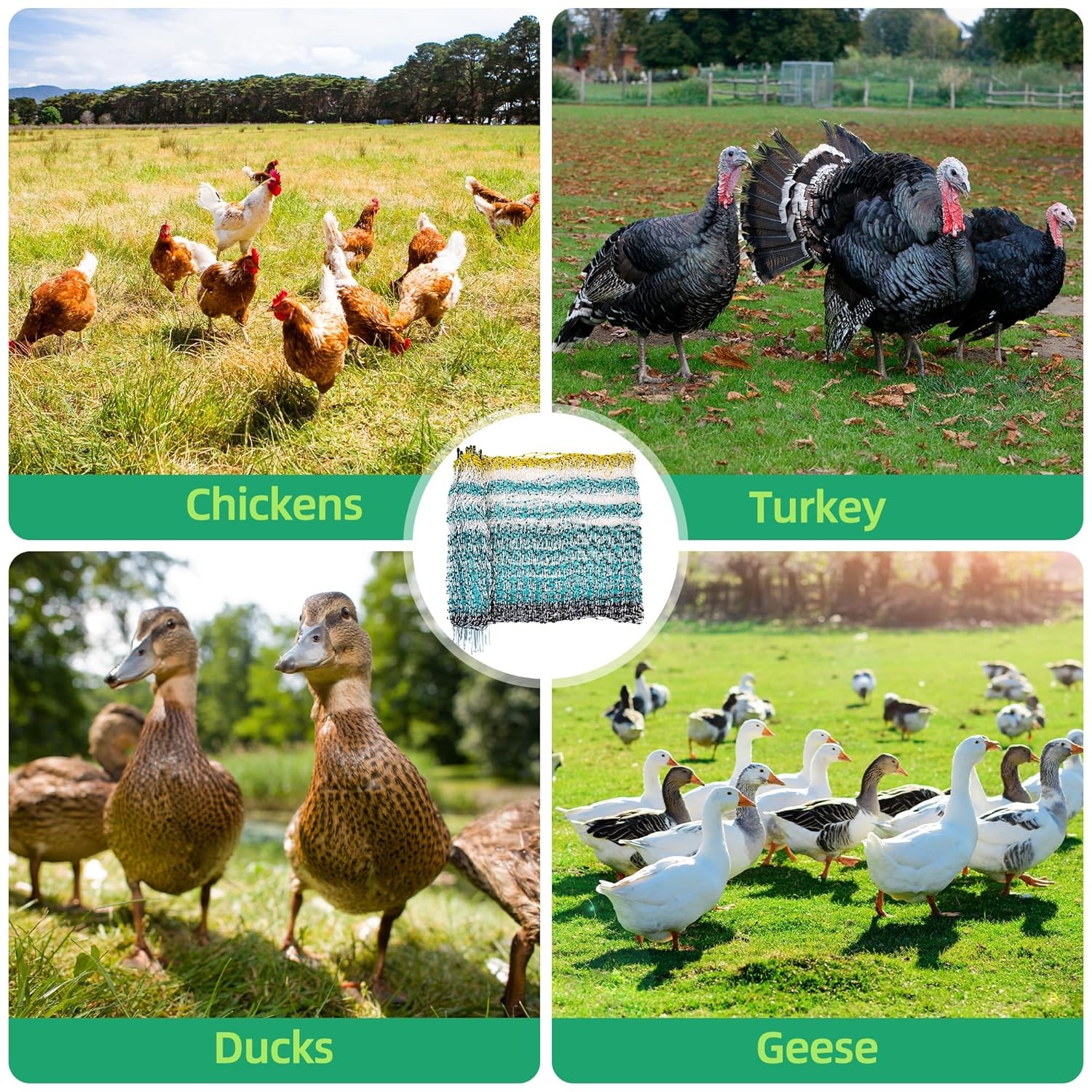 Portable Electric Poultry Netting Fence Nets Mesh 41.5″ H x 164′ L for Farms