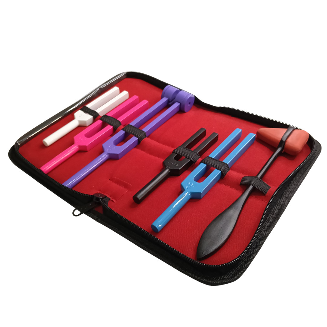 6-Piece Tuning Fork Set – Aluminum Alloy Kit for Sensory Testing