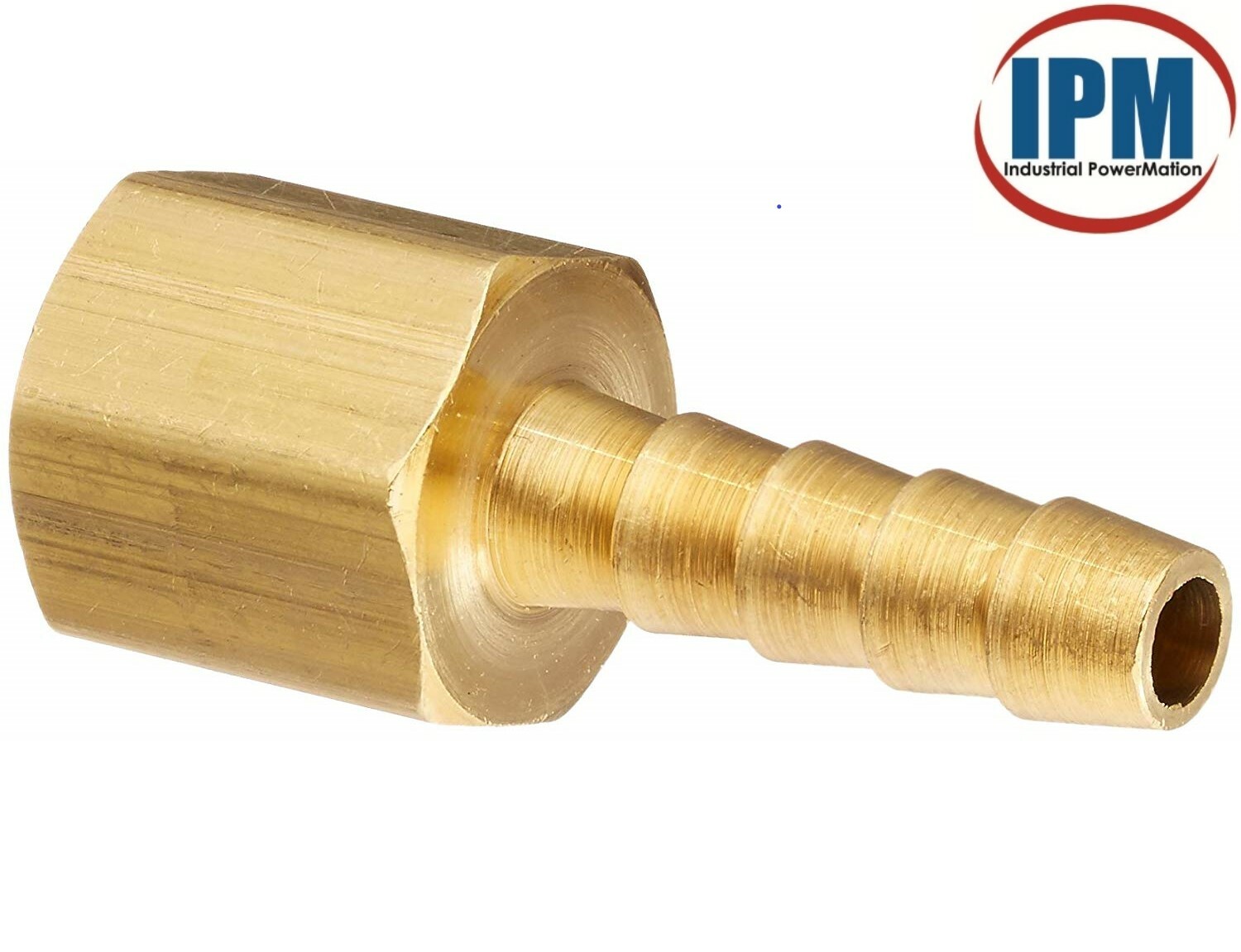 1/8″ Hose Barb x 1/4″ FEMALE NPT Brass Straight Fitting HB02-FNPT04 (IPM) NEW!
