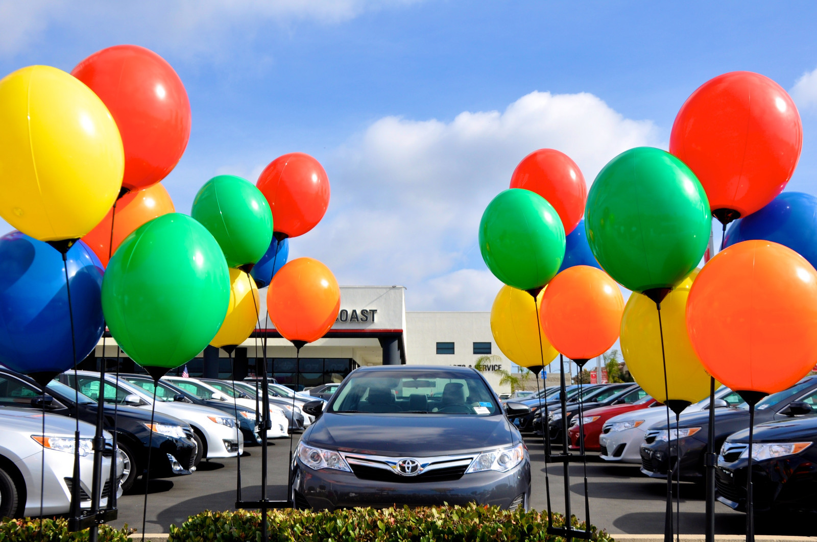 Balloon Cluster Kit | Helium Free, Reusable, Includes 5 Balloons, Poles, Spike