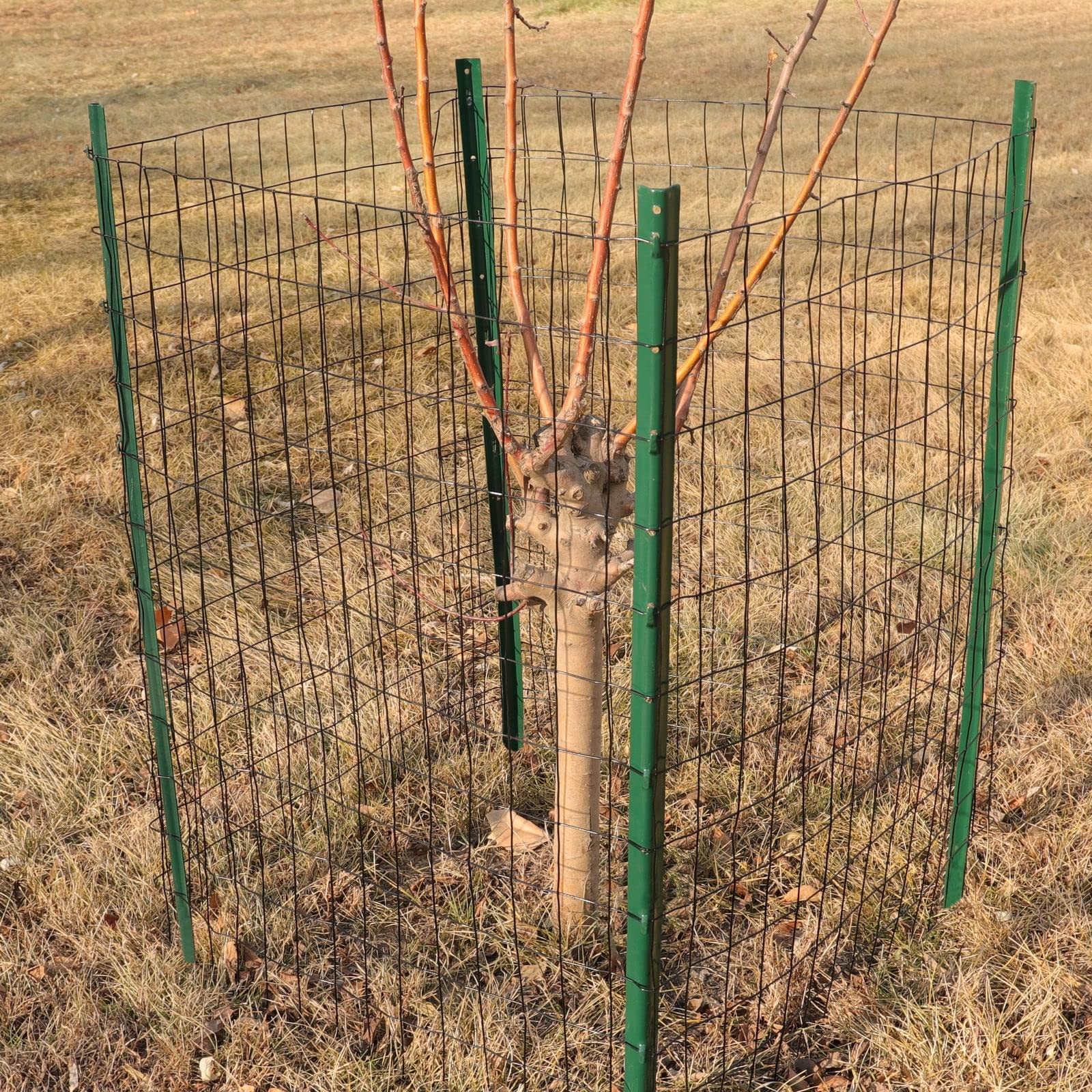 Black PVC Coated Welded Wire Fence 24 Inch x 50 Foot, 2 Inch x 3 Inch 16GA, G…