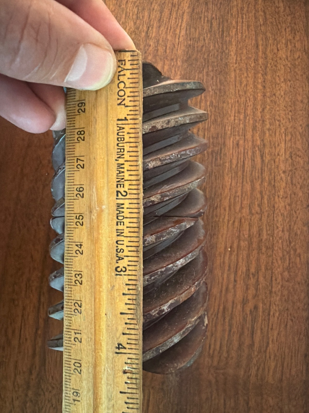 Unknown Worm Gear possibly for tractor.
