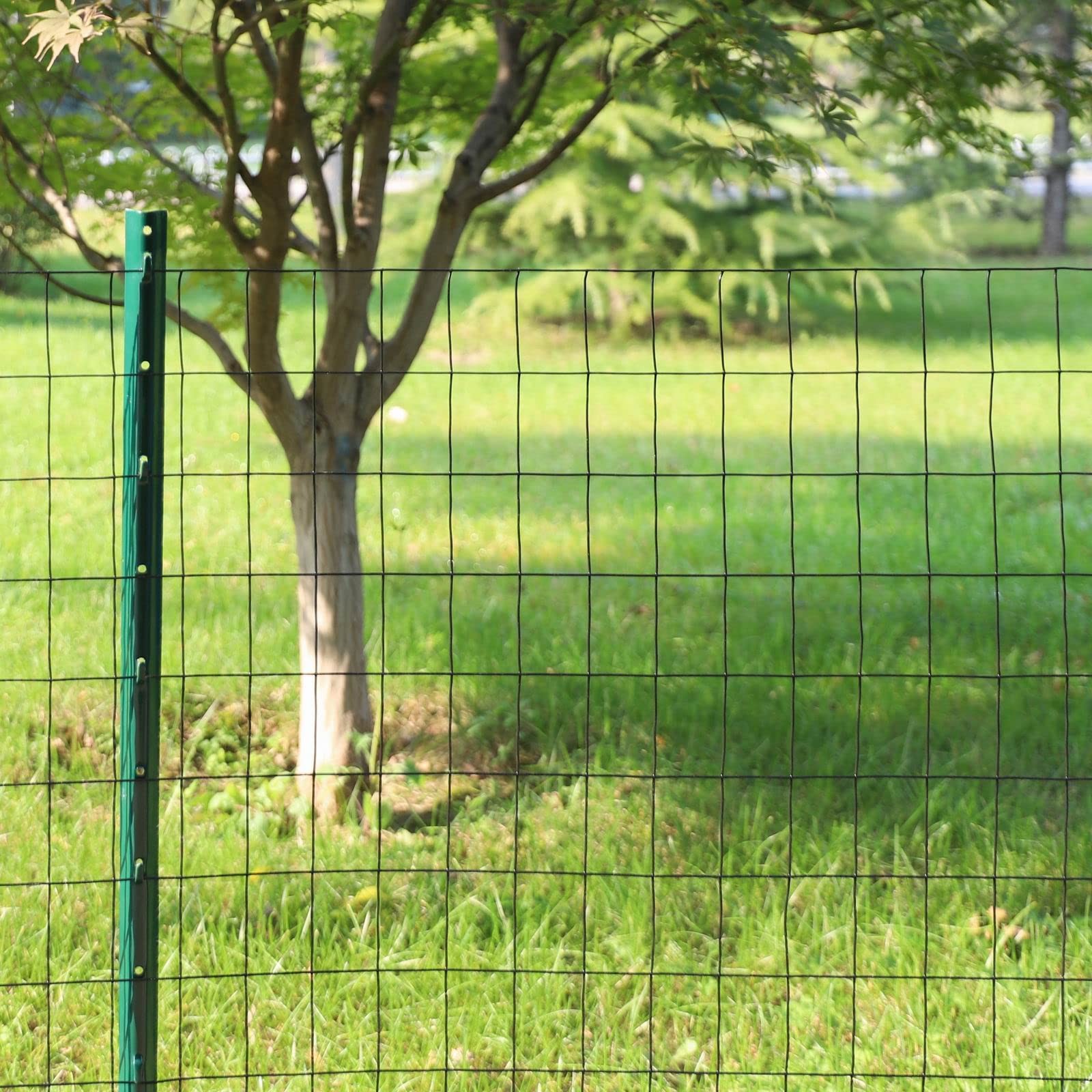 Black PVC Coated Welded Wire Fence 24 Inch x 50 Foot, 2 Inch x 3 Inch 16GA, G…
