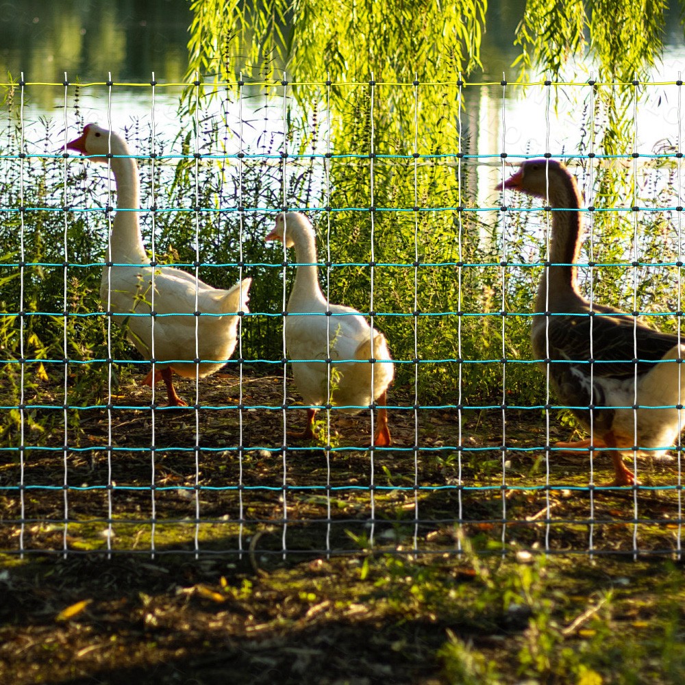 Portable Electric Poultry Netting Fence Nets Mesh 41.5″ H x 164′ L for Farms