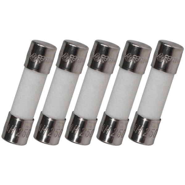 Pack of 5, 5X20mm 500mA 250v Fast Blow Ceramic Fuses, F0.5A, 0.5 amp (3/16 inch