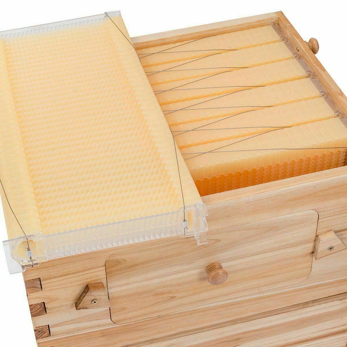 7 x Beekeeping Frames Bee Hive Frame for Auto Shed Beehive House Honey Boxes US