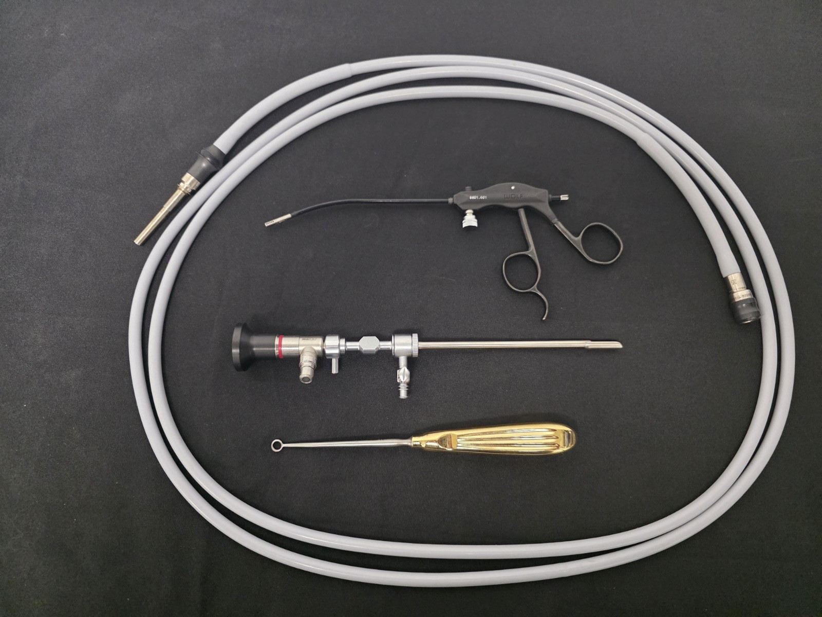 R. Wolf Browlift 8801.061 w/ Scope 30°x4mm & Curved Grasper, Light Cable (Great)