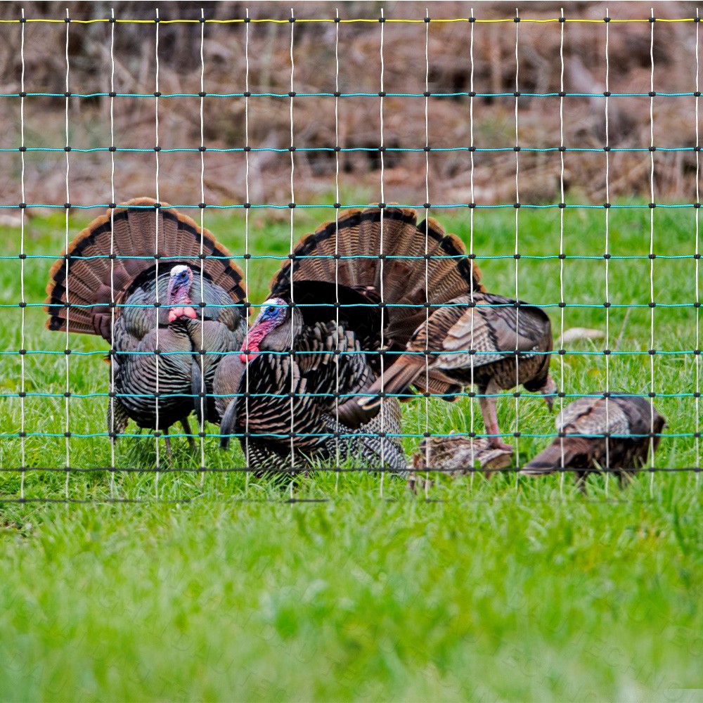 Portable Electric Poultry Netting Fence Nets Mesh 41.5″ H x 164′ L for Farms