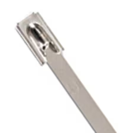 Ty-Rap Ls-7.9-200A Cable Tie, 8 In L, 2 In Max Bundle Dia., Silver, 304