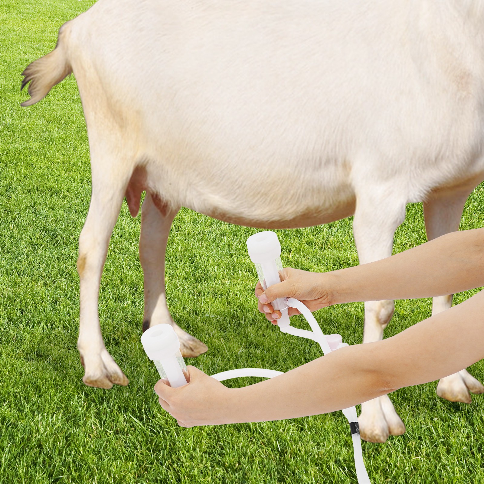 Pulsation Cow Milking Machine, Electric Cow Milker Milking Machine with Stainle