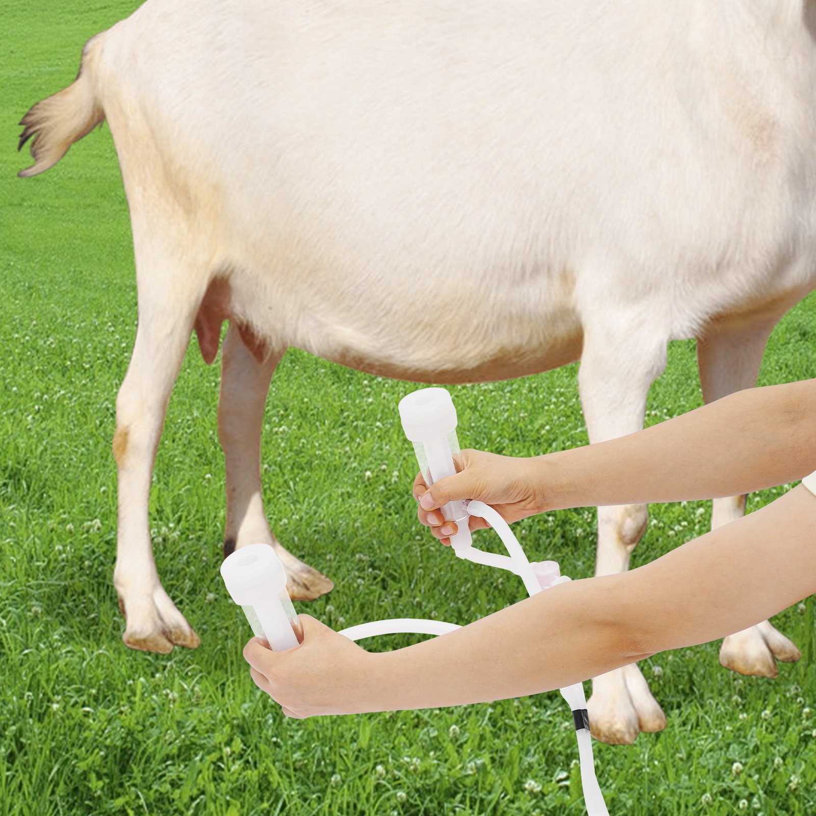2in1 Pulsation Cow Milking Machine Milking Machine w/Stainless Steel Bucket 5LUS
