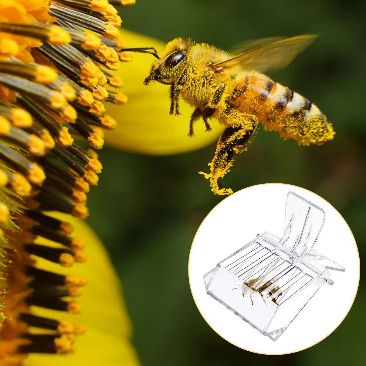 5pcs/set Beekeeping Queen Bee Cage Catcher Clips – Transparent Plastic
