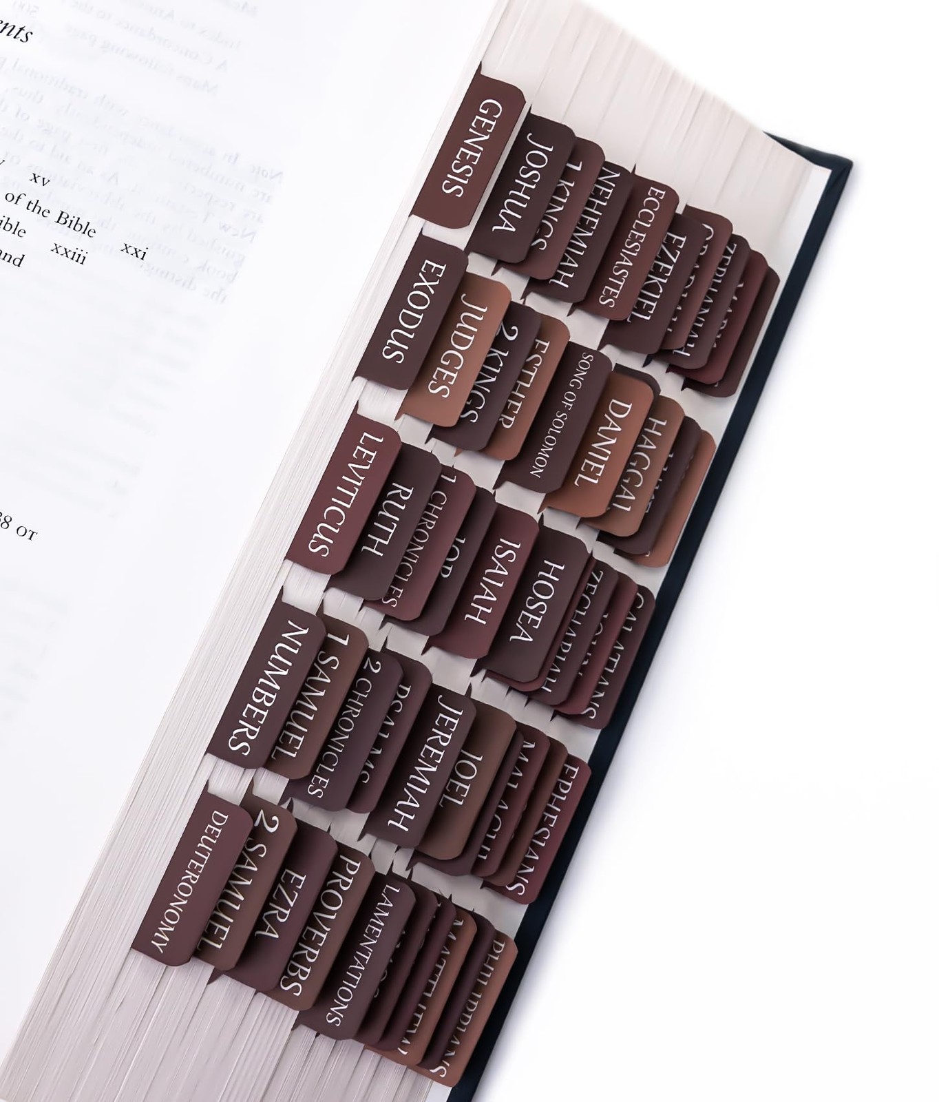 Laminated Bible Tabs for Women Men – Large Print Tabs for Study Bibles, Boho