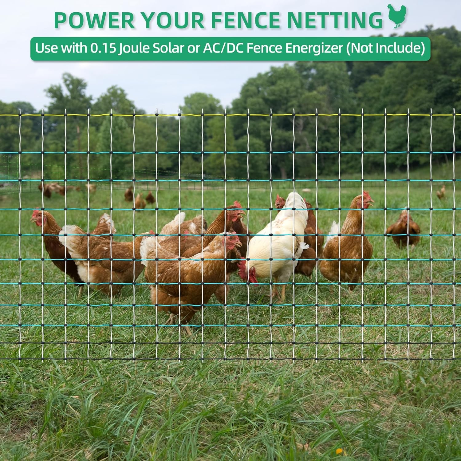 Portable Electric Poultry Netting Fence Nets Mesh 41.5″ H x 164′ L for Farms