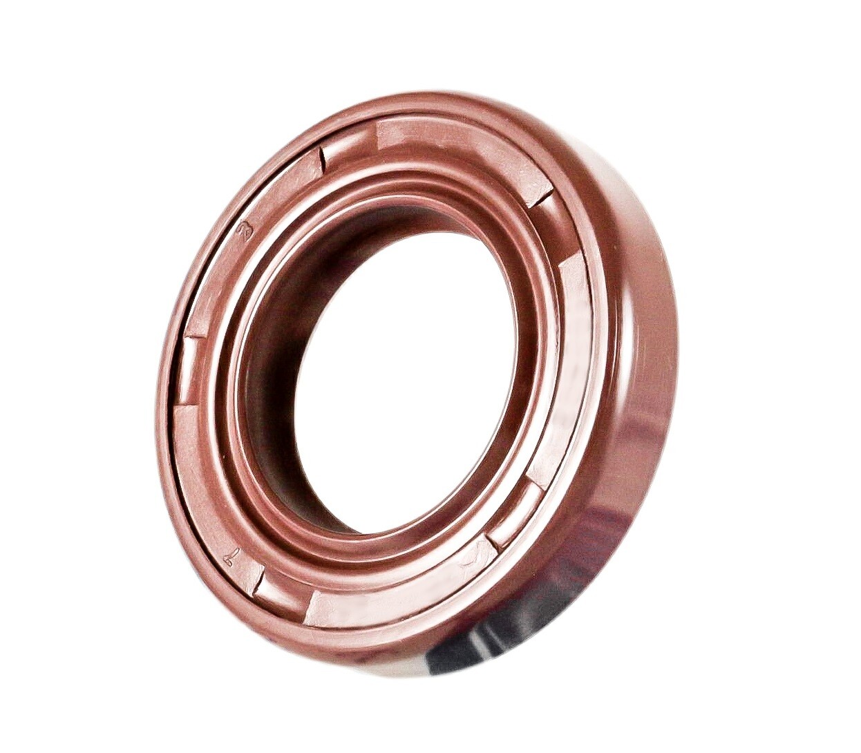 EAI 20x30x4mm FPM/FKM Oil Shaft Rotary Seal w/ Stainless Steel Spring Dbl Lip