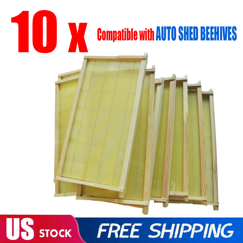Bee Hive Frames 10 Bee Foundation Deep Bee Hive Wax Foundation with Wire
