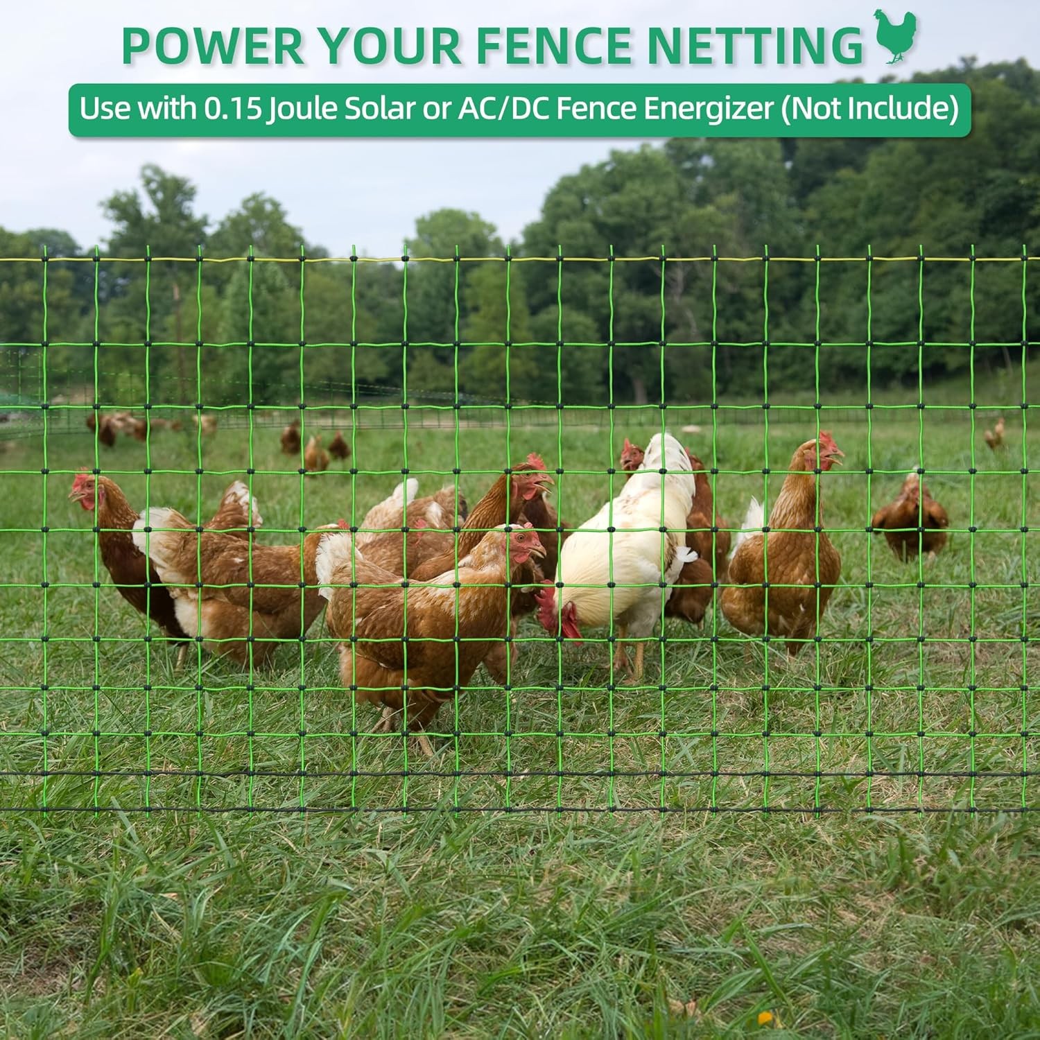 Updated Poultry Netting Electric Fence for Chickens, Ducks, Geese,41.5″H x 164’L