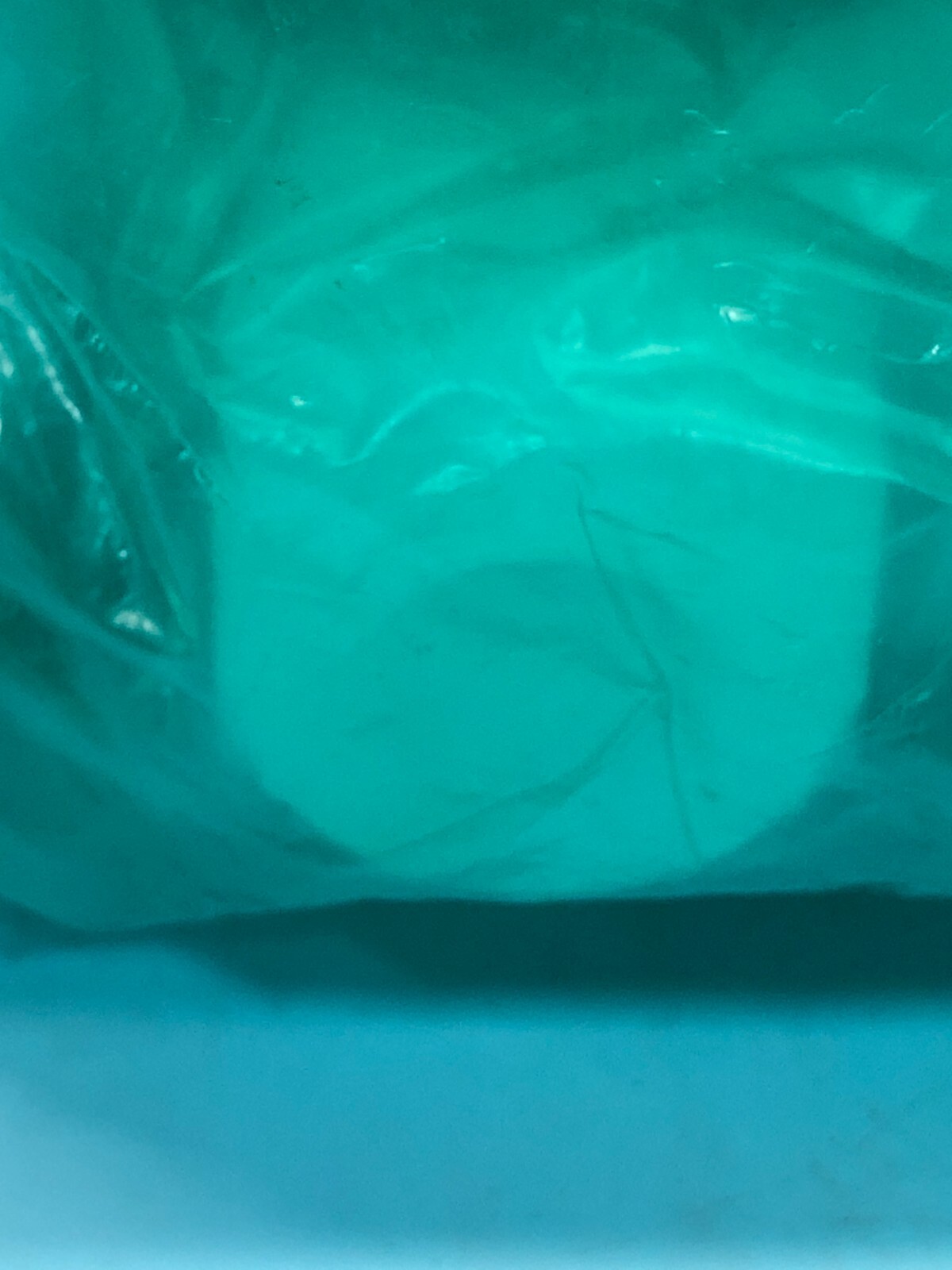 CKD GCAMD40-X0016-02 Valve, 0-0.3 MPa, 0.3-0.5 MPa, Dainippon Screen DNS, 150786