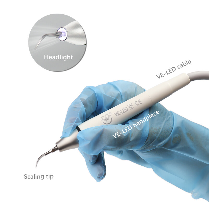 Dental Ultrasonic Scaler Scaling Perio Endo Endodontics LED Handpiece Auto Water