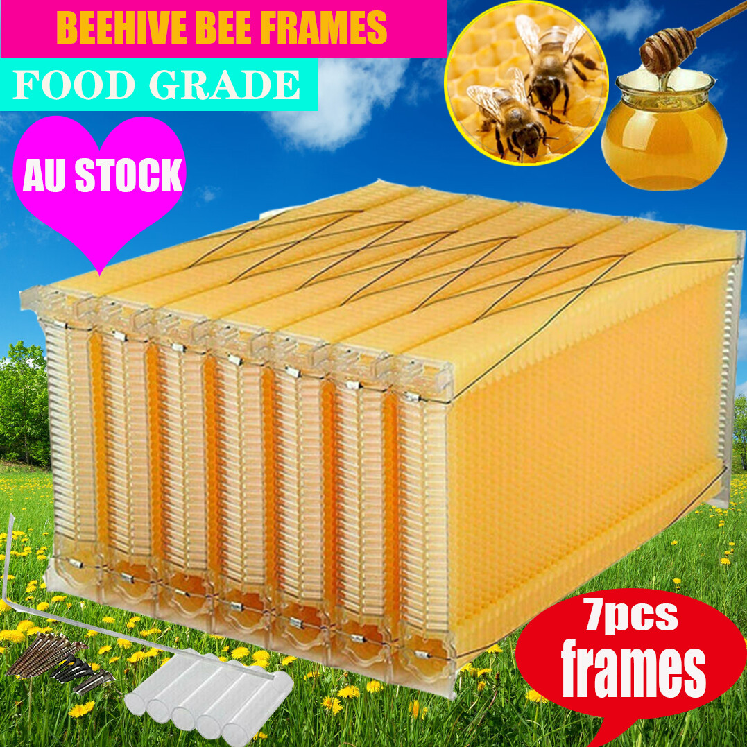 Upgraded 7x Bee Hive Boxes Comb Hive Frames For Wooden Beekeeping Beehive House